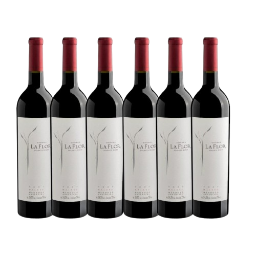 Kit 6 La Flor de Pulenta Malbec 2020